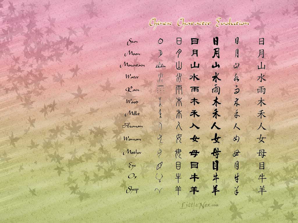 CharacterEvolution • Edubest | Tuition Centre & Online Tuition
